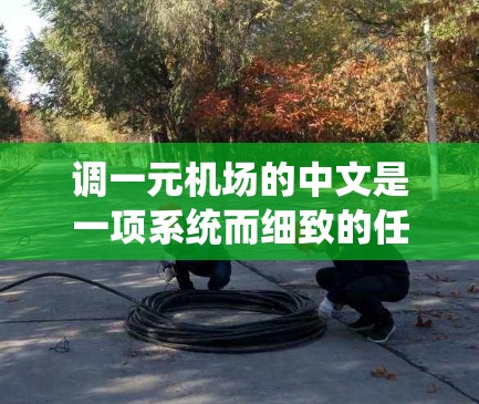 调一元机场的中文是一项系统而细致的任务，需要从多个方面进行规划和执行。以下是详细的步骤指南