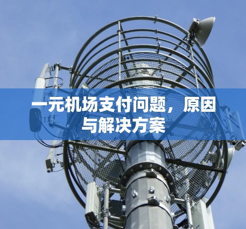 一元机场支付问题,原因与解决方案 一元机场支付问题,原因与解决方案