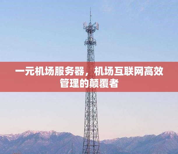 一元机场服务器,机场互联网高效管理的颠覆者 一元机场服务器,机场互联网高效管理的颠覆者