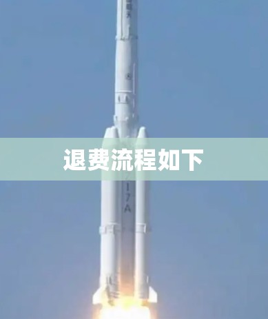 退费流程如下 退费流程如下