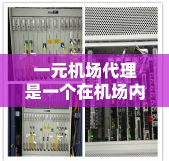 一元机场代理是一个在机场内部专门代理特定服务的人员。以下是详细的使用指南，帮助您更好地理解和操作