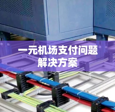一元机场支付问题解决方案 一元机场支付问题解决方案