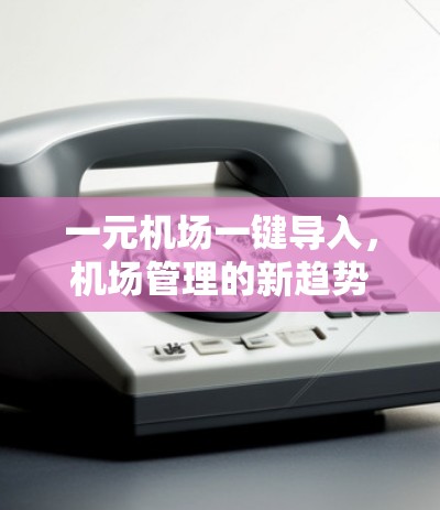 一元机场一键导入,机场管理的新趋势 一元机场一键导入,机场管理的新趋势