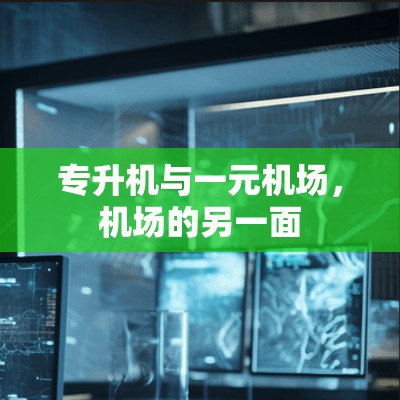 专升机与一元机场,机场的另一面 专升机与一元机场,机场的另一面