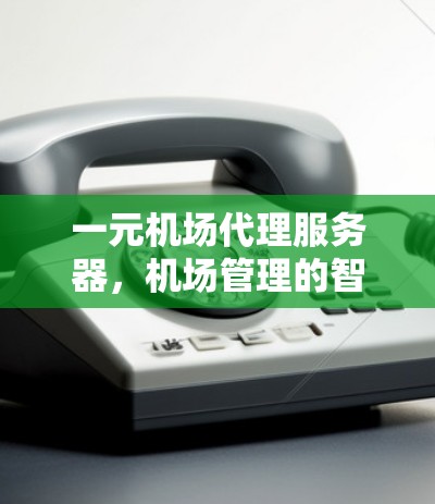一元机场代理服务器，机场管理的智能化选择