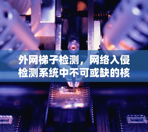 外网梯子检测，网络入侵检测系统中不可或缺的核心技术