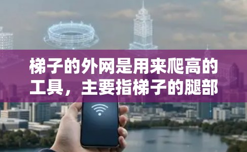梯子的外网是用来爬高的工具,主要指梯子的腿部分。使用梯子时,需要考虑以下几个关键因素来确保安全和有效 梯子的外网是用来爬高的工具,主要指梯子的腿部分。使用梯子时,需要考虑以下几个关键因素来确保安全和有效
