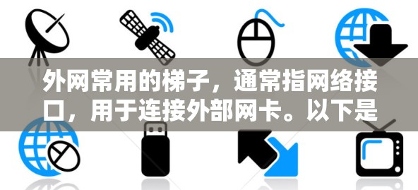 外网常用的梯子，通常指网络接口，用于连接外部网卡。以下是常见的梯子名称和作用