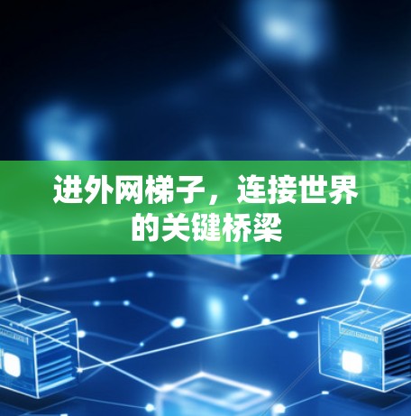 进外网梯子,连接世界的关键桥梁 进外网梯子,连接世界的关键桥梁
