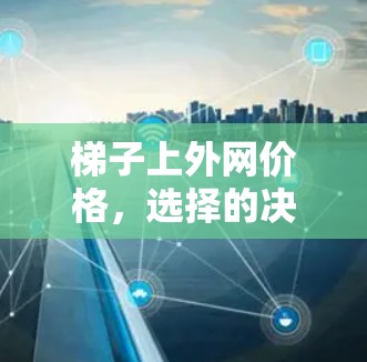 梯子上外网价格,选择的决定 梯子上外网价格,选择的决定