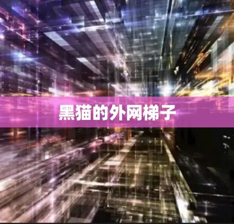 黑猫的外网梯子