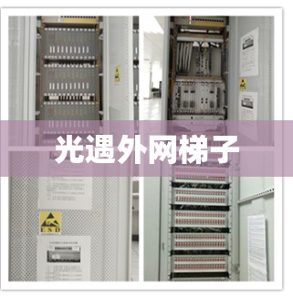 光遇外网梯子
