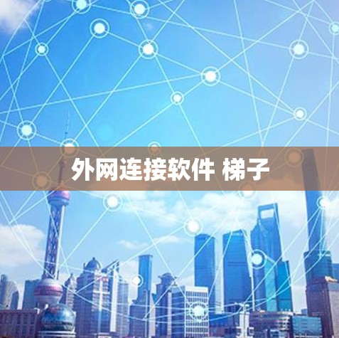 外网连接软件 梯子 外网连接软件 梯子