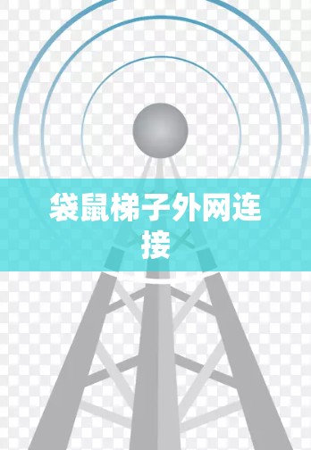 袋鼠梯子外网连接 袋鼠梯子外网连接