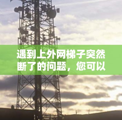 遇到上外网梯子突然断了的问题,您可以按照以下步骤操作 遇到上外网梯子突然断了的问题,您可以按照以下步骤操作