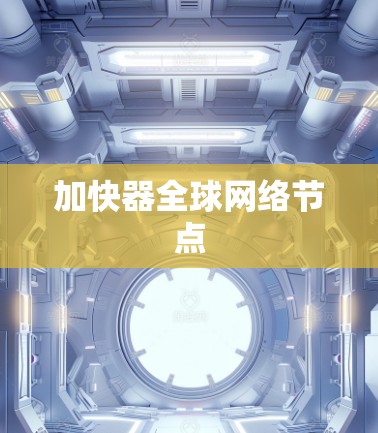 加快器全球网络节点