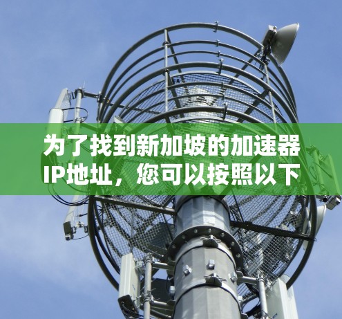 为了找到新加坡的加速器IP地址，您可以按照以下步骤进行
