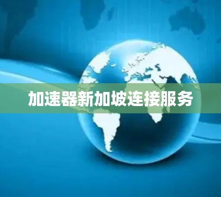 加速器新加坡连接服务 加速器新加坡连接服务