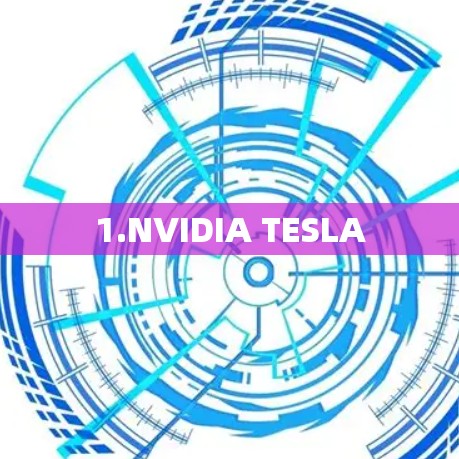 1.NVIDIA TESLA
