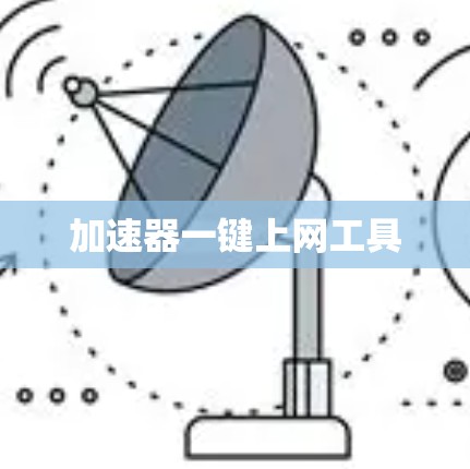 加速器一键上网工具 加速器一键上网工具