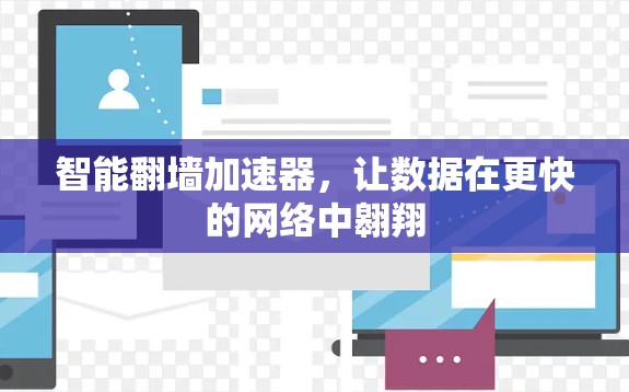 智能翻墙加速器,让数据在更快的网络中翱翔 智能翻墙加速器,让数据在更快的网络中翱翔