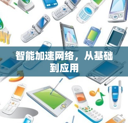 智能加速网络,从基础到应用 智能加速网络,从基础到应用
