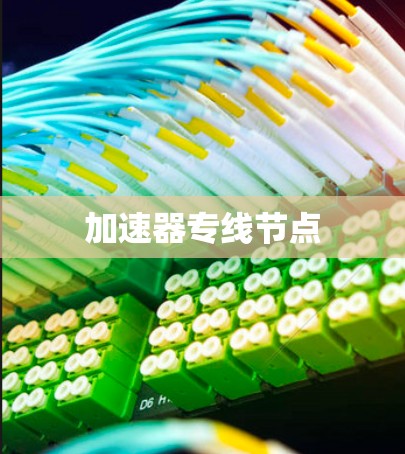 加速器专线节点