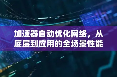 加速器自动优化网络，从底层到应用的全场景性能提升