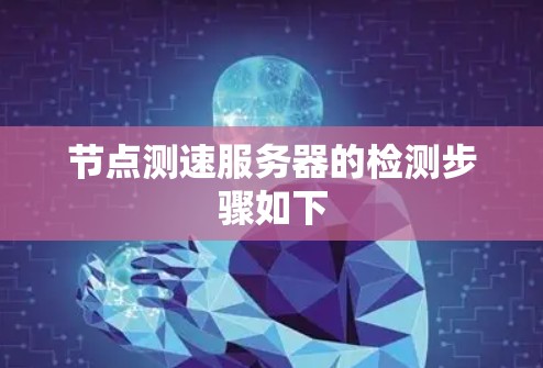 节点测速服务器的检测步骤如下