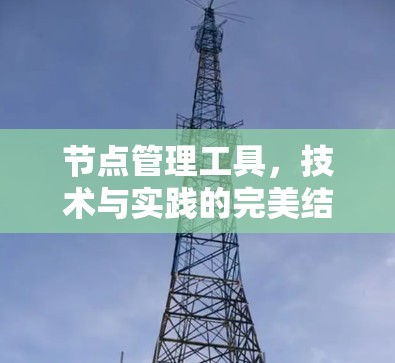 节点管理工具，技术与实践的完美结合