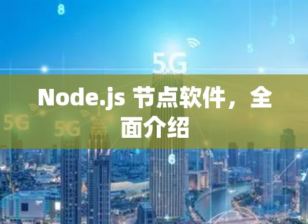 Node.js 节点软件,全面介绍 Node.js 节点软件,全面介绍