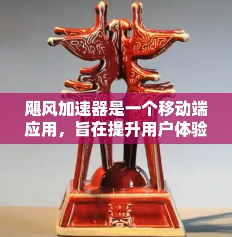 飓风加速器是一个移动端应用，旨在提升用户体验和效率，适用于多种任务。以下是对该应用的详细分析