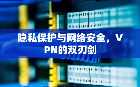 隐私保护与网络安全,VPN的双刃剑 隐私保护与网络安全,VPN的双刃剑