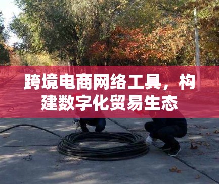 跨境电商网络工具,构建数字化贸易生态 跨境电商网络工具,构建数字化贸易生态