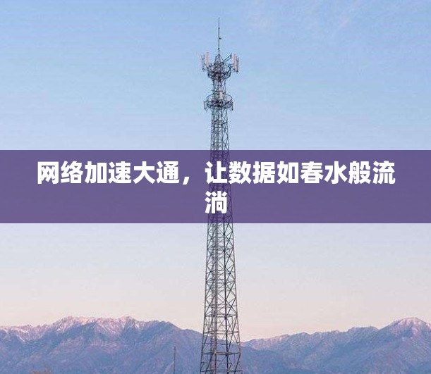 网络加速大通,让数据如春水般流淌 网络加速大通,让数据如春水般流淌
