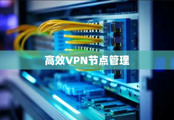 高效VPN节点管理 高效VPN节点管理