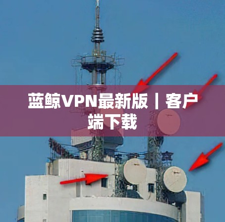 蓝鲸VPN最新版｜客户端下载