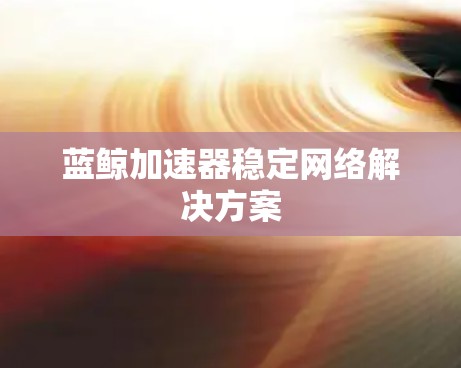 蓝鲸加速器稳定网络解决方案 蓝鲸加速器稳定网络解决方案