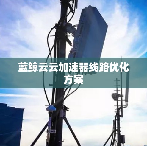 蓝鲸云云加速器线路优化方案 蓝鲸云云加速器线路优化方案
