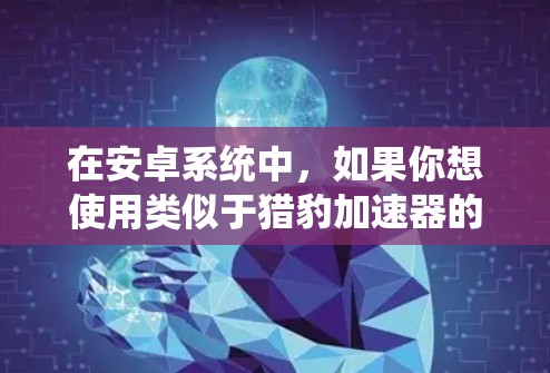 在安卓系统中，如果你想使用类似于猎豹加速器的功能，可以考虑以下几种方法