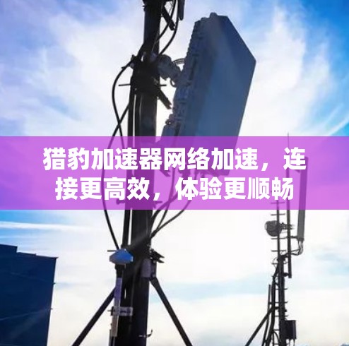 猎豹加速器网络加速,连接更高效,体验更顺畅